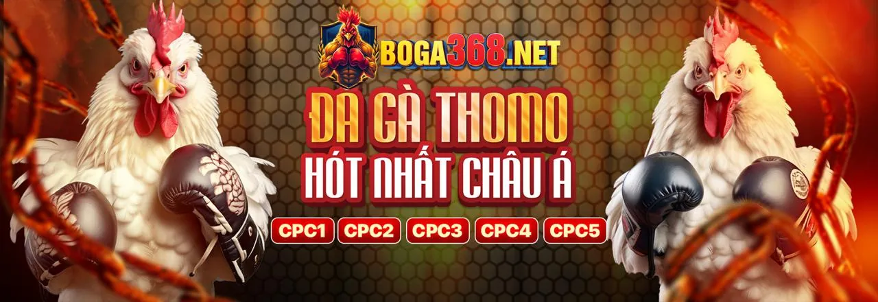 Đá gà cựa dao kịch tính tại 98win98 Casino